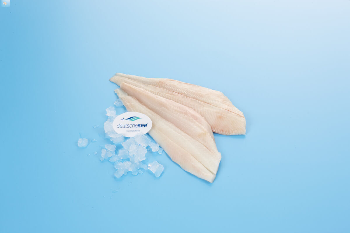 Heilbutt Heilbuttfilet auf Eis